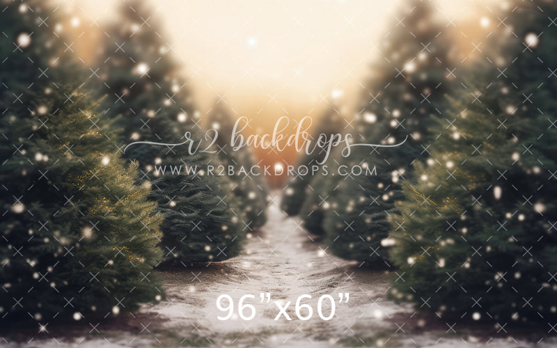 Snow Fall Tree Farm - Fabric Special Pricing