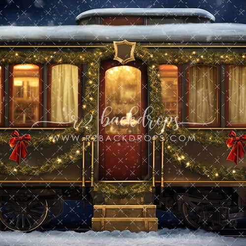Holiday Train