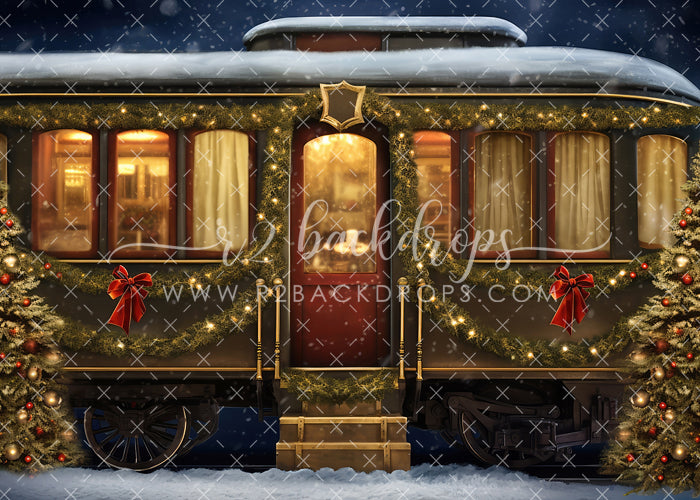 Holiday Train