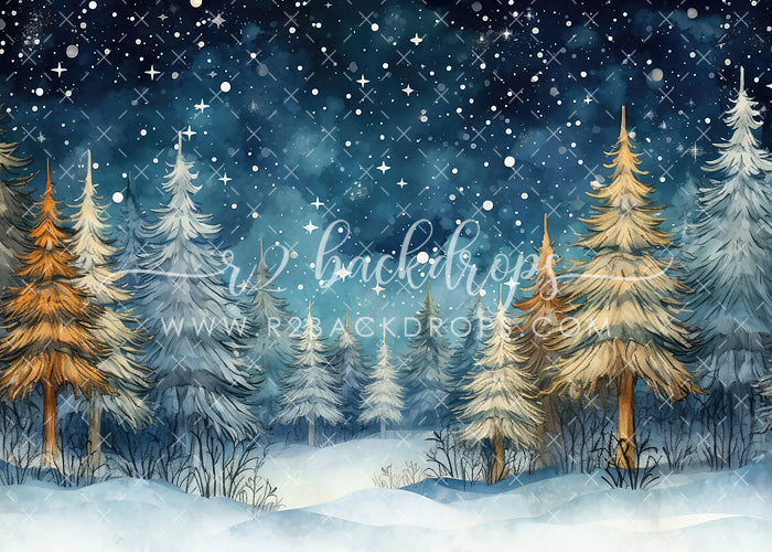Winter Trees and Stars