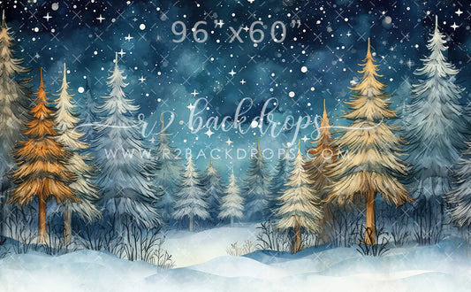 Winter Trees and Stars