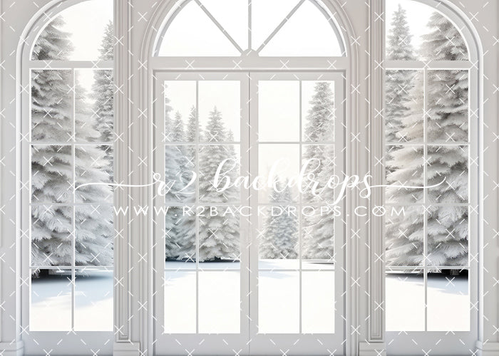 White Winter Door