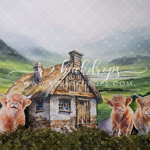 Highland Cows