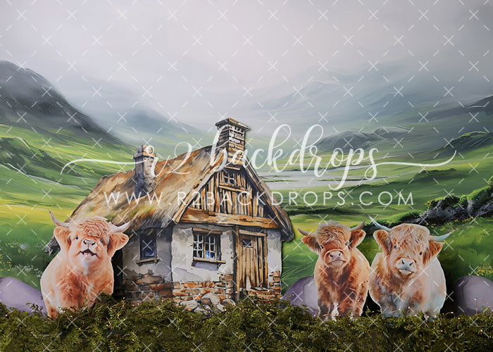 Highland Cows