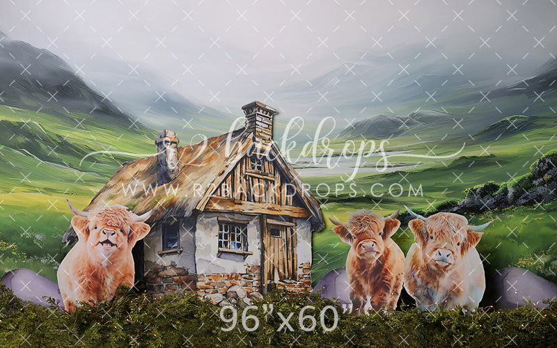 Highland Cows