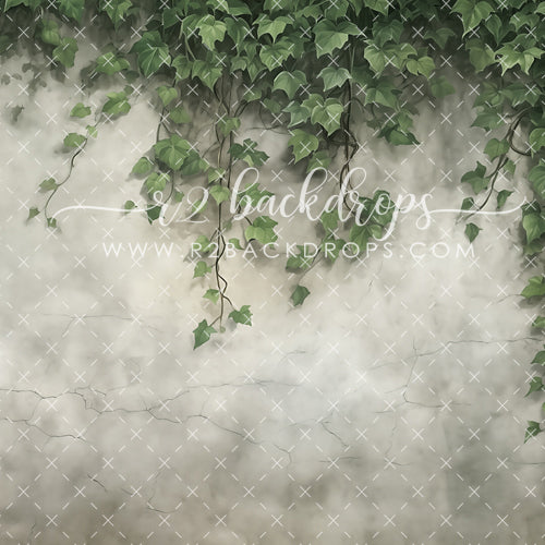 Ivy Wall