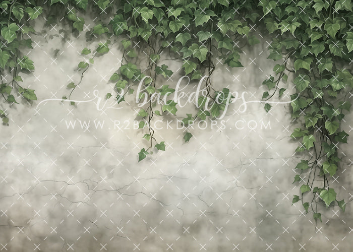Ivy Wall