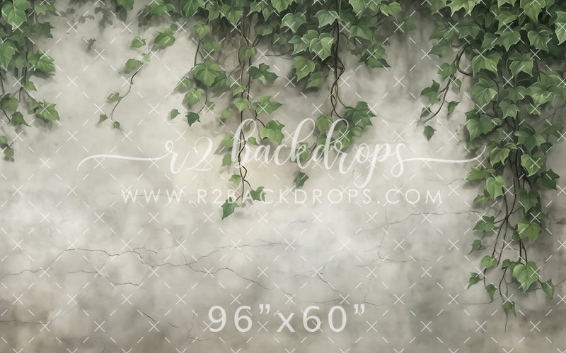 Ivy Wall
