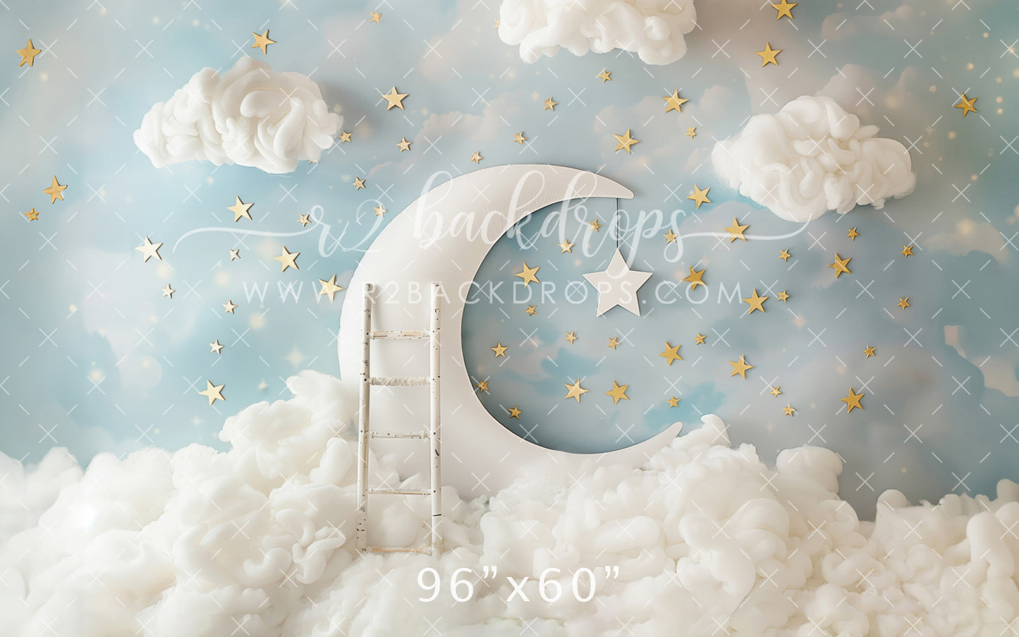 To the Moon and Back