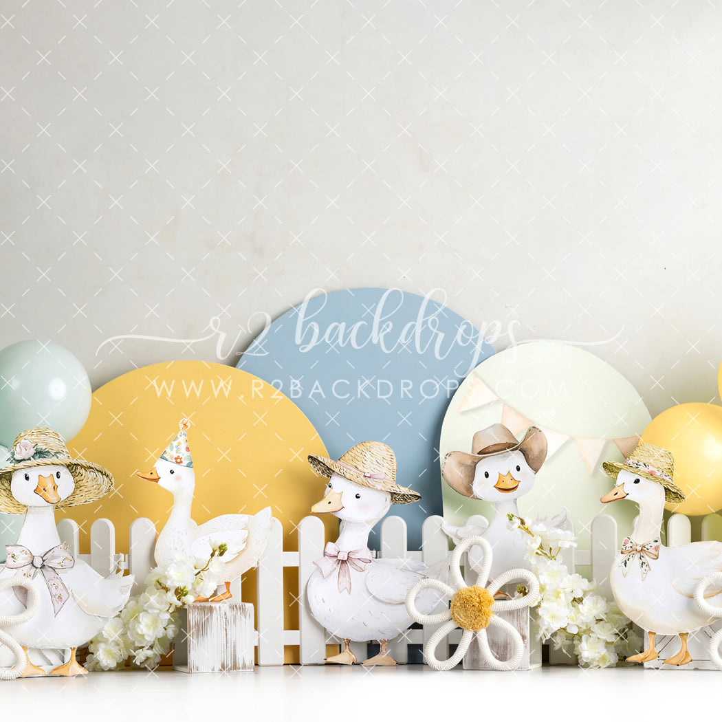 One Silly Goose - Special Pricing