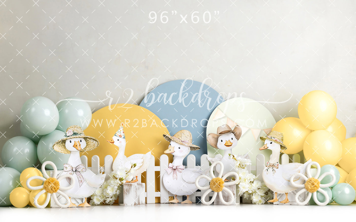 One Silly Goose - Special Pricing