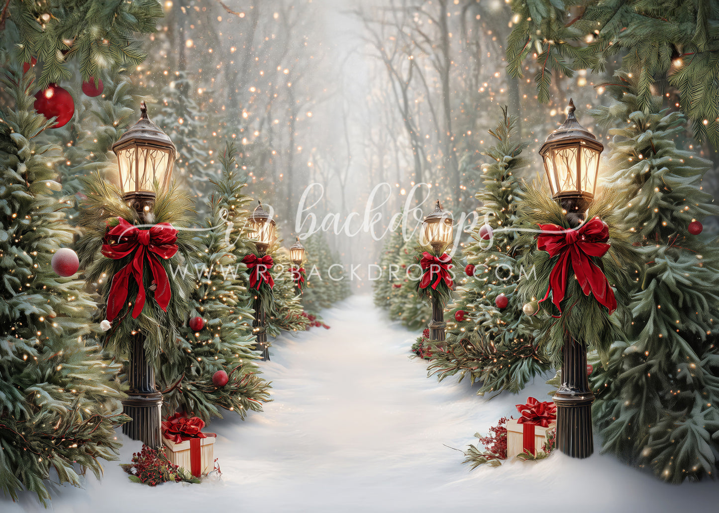 Jolly Snow Path