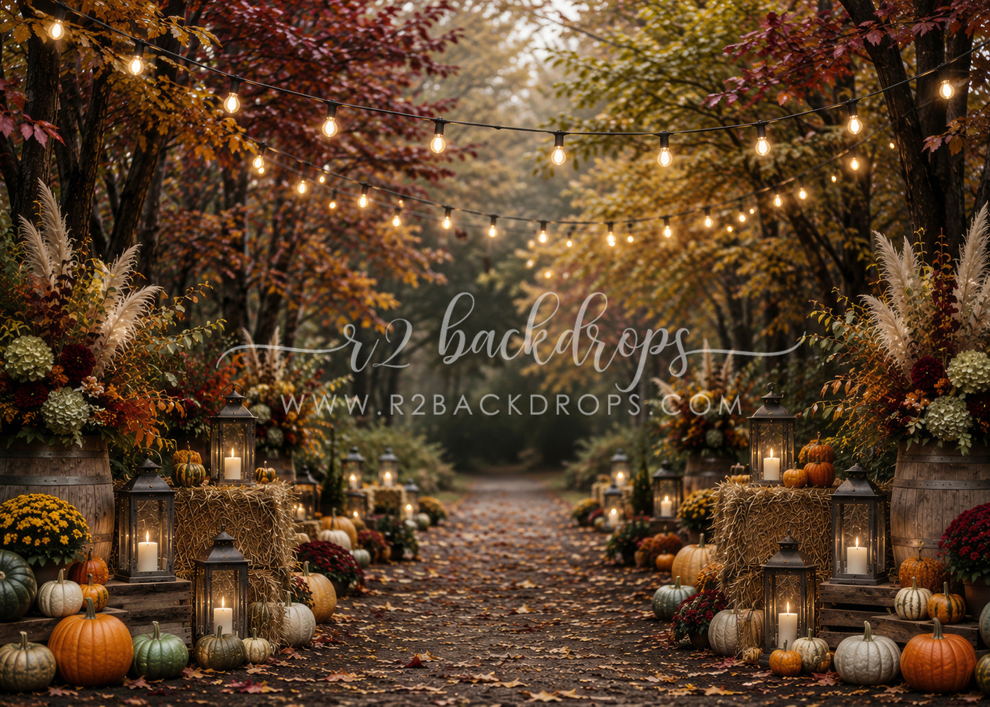 Fall Splendor