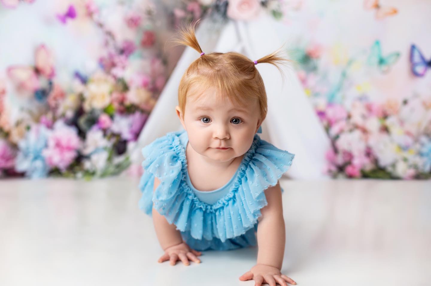 Floral Butterfly Tent - Special Pricing