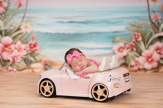 Beachy Cove - Special Pricing