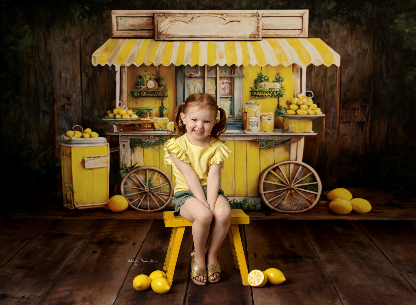 Lemonade Stand