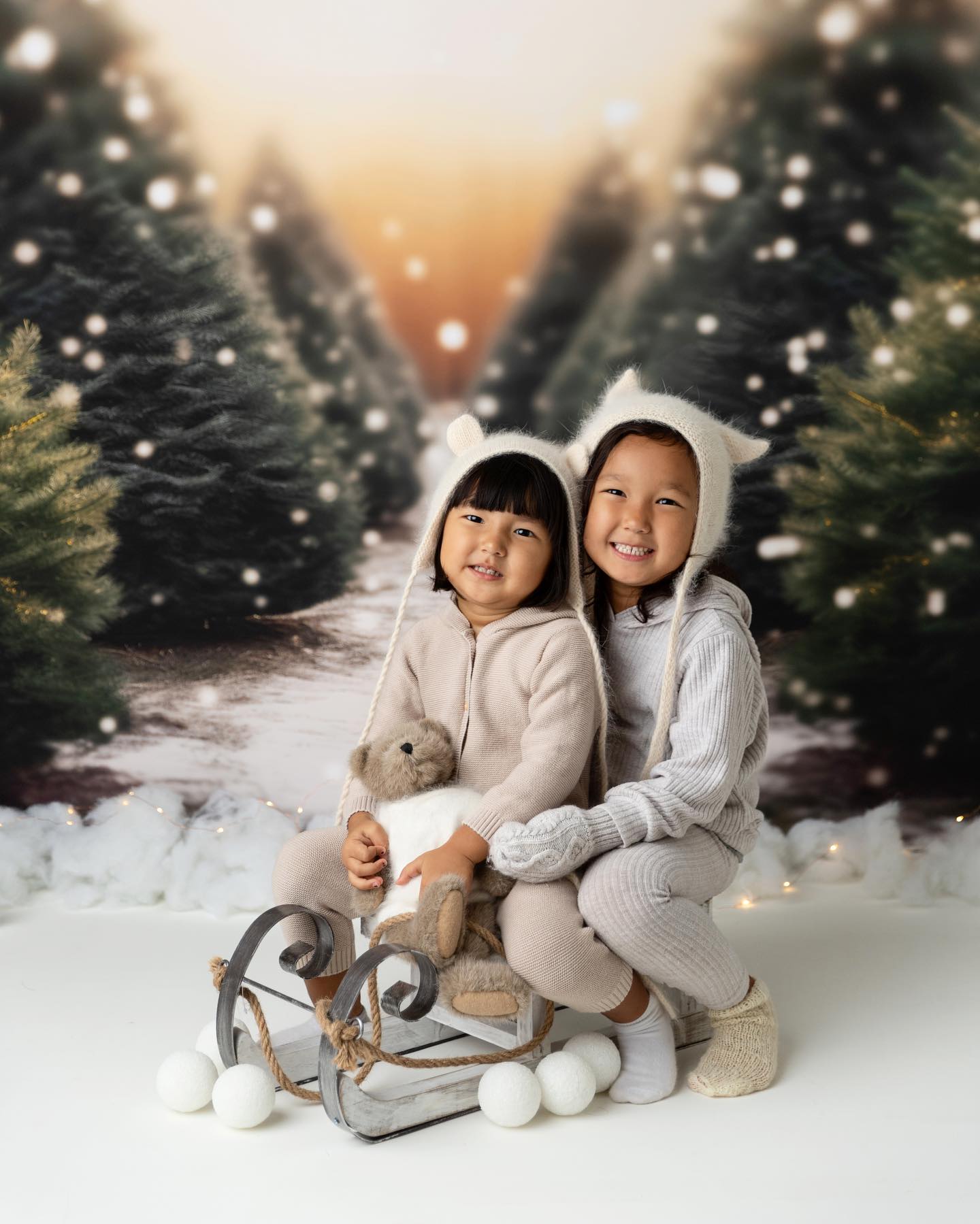 Snow Fall Tree Farm - Fabric Special Pricing