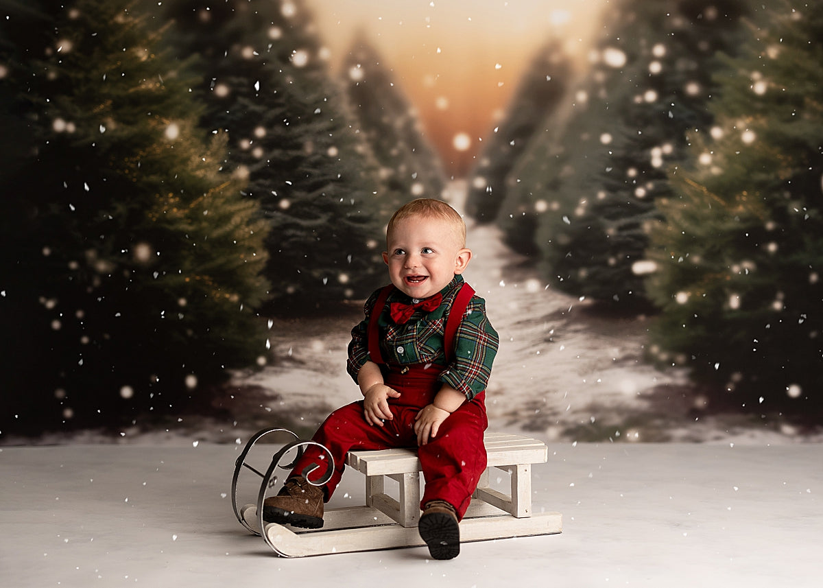 Snow Fall Tree Farm - Fabric Special Pricing