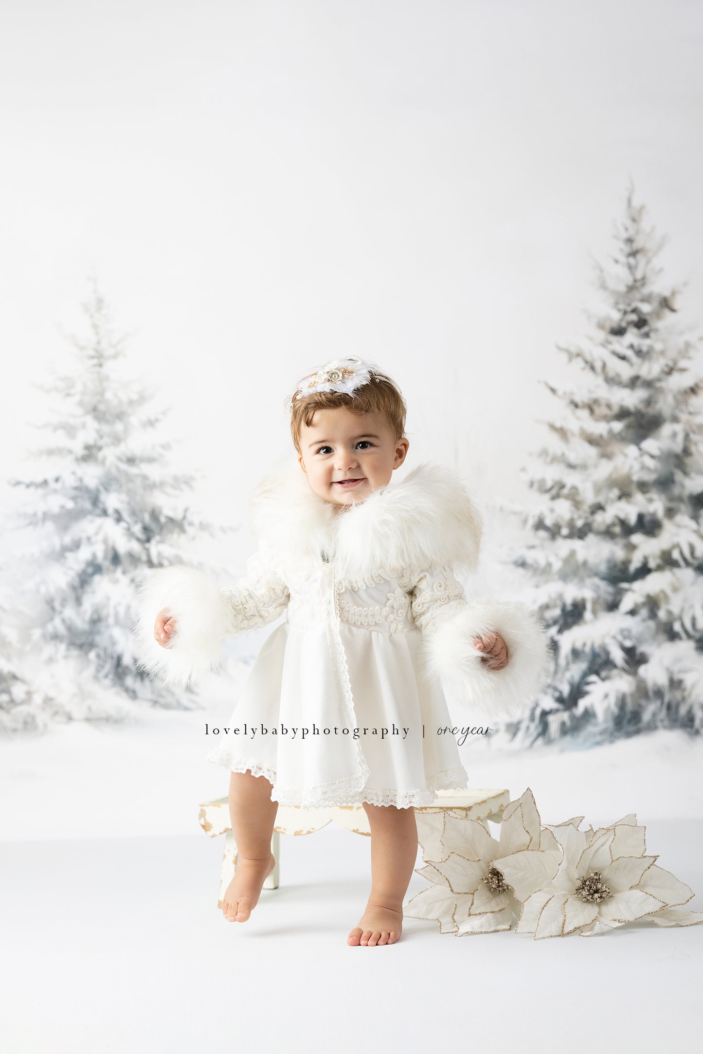 White Winter Scene