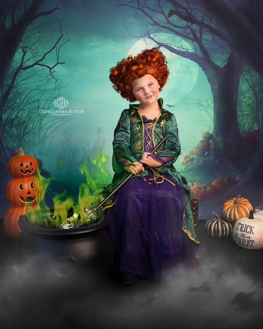 Approaching Dusk MISPRINT - POLY (Studio Sample - Perfect Condition)