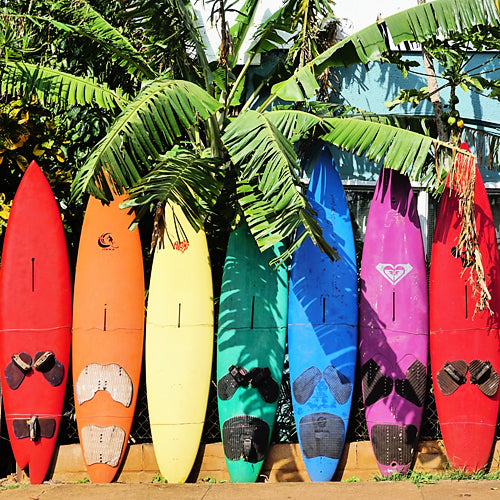 SURFBOARDS