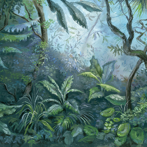 Jungle