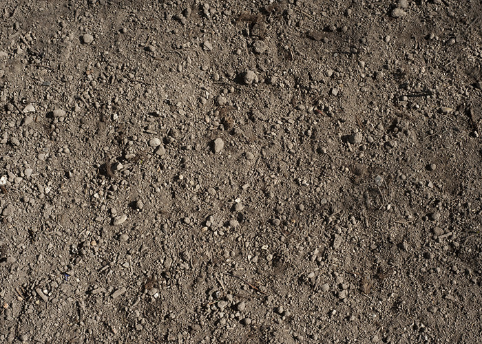 Dirt Ground