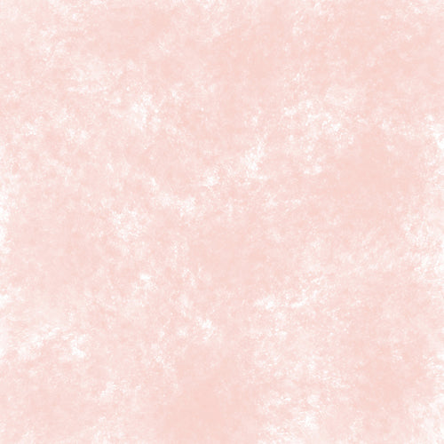 Carnation