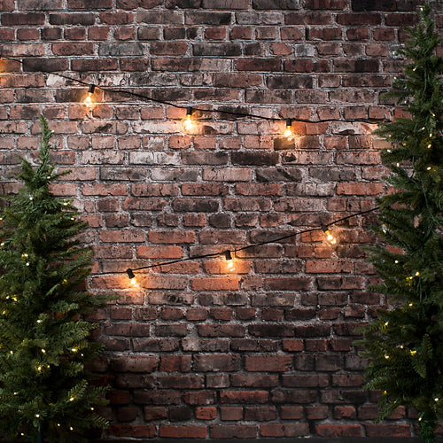 Christmas Brick