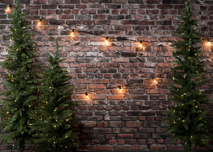 Christmas Brick