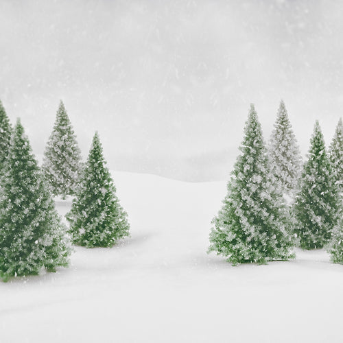 Winter Trees