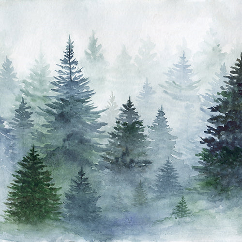 Christmas Woods