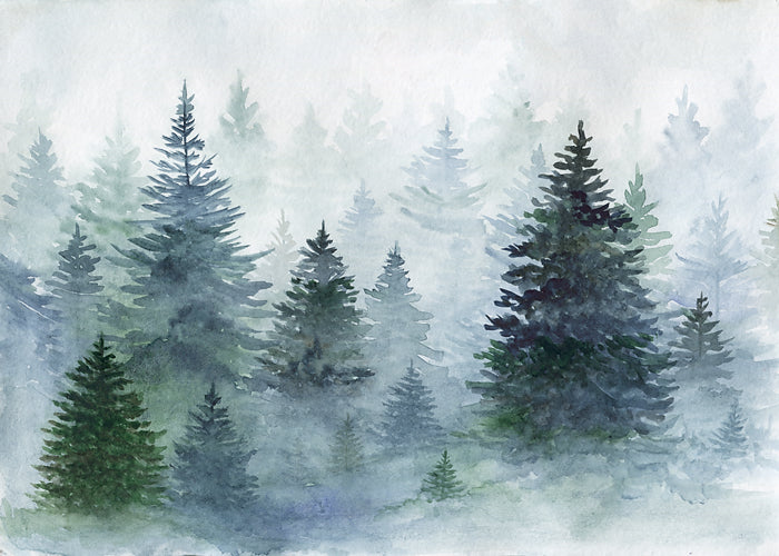 Christmas Woods
