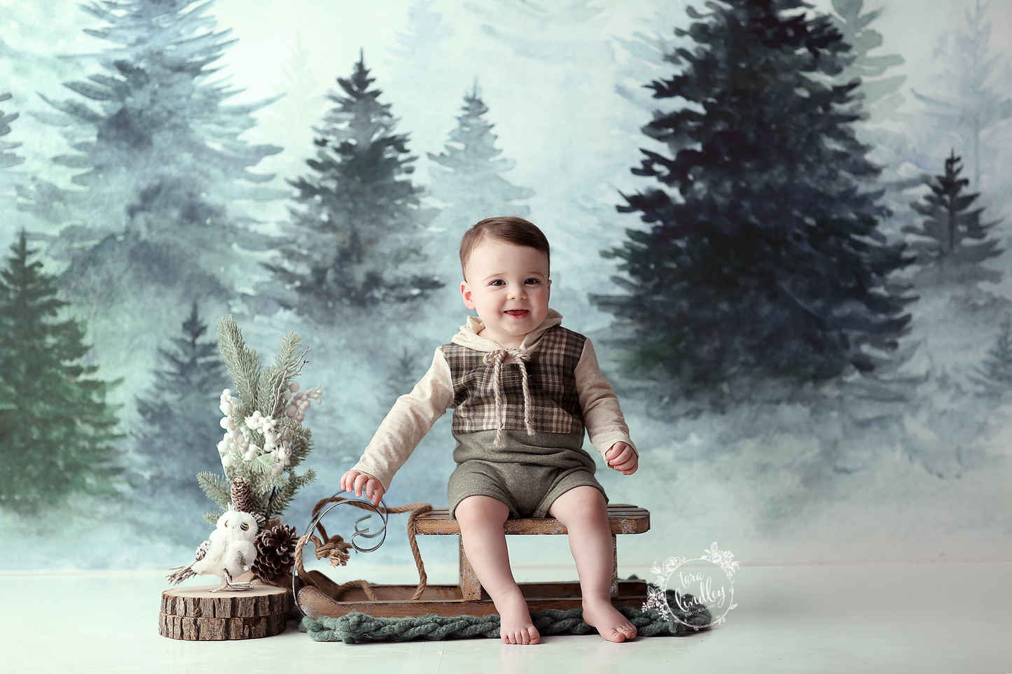 Christmas Woods