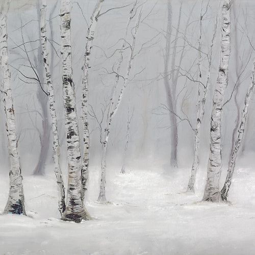 Winter Birch