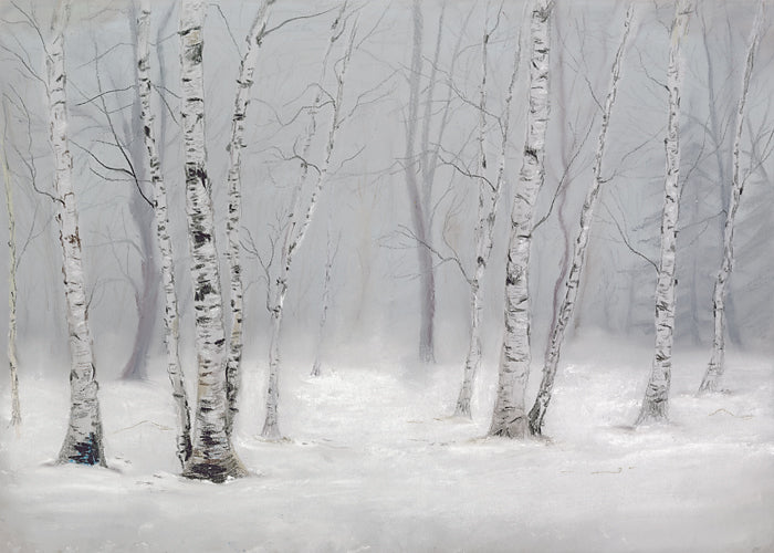 Winter Birch