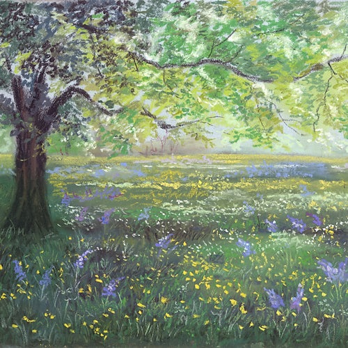 Spring Field
