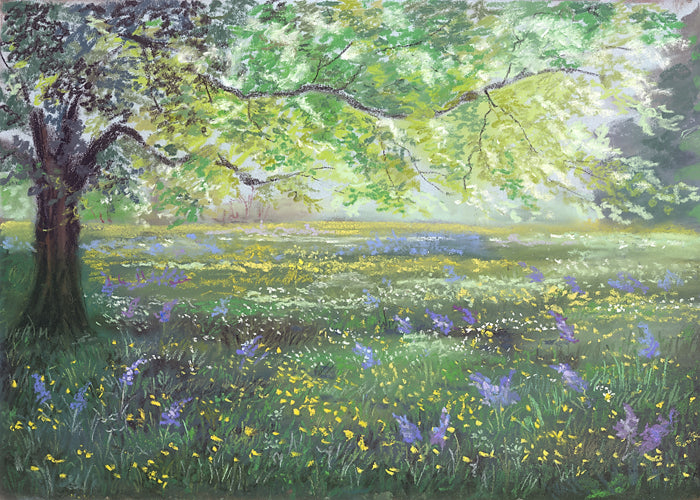 Spring Field