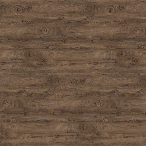 Chestnut