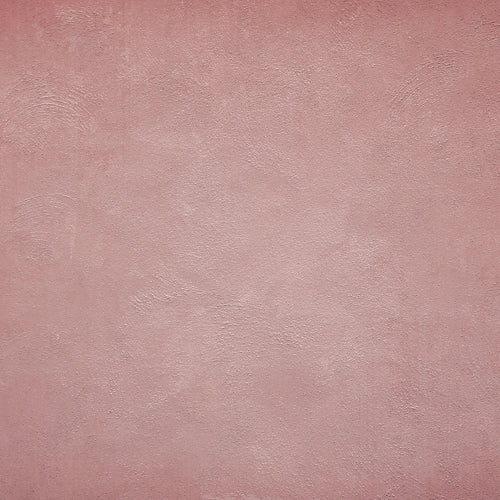 Roan Dusty Pink