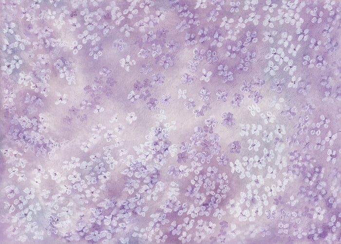 Lavender Sasha