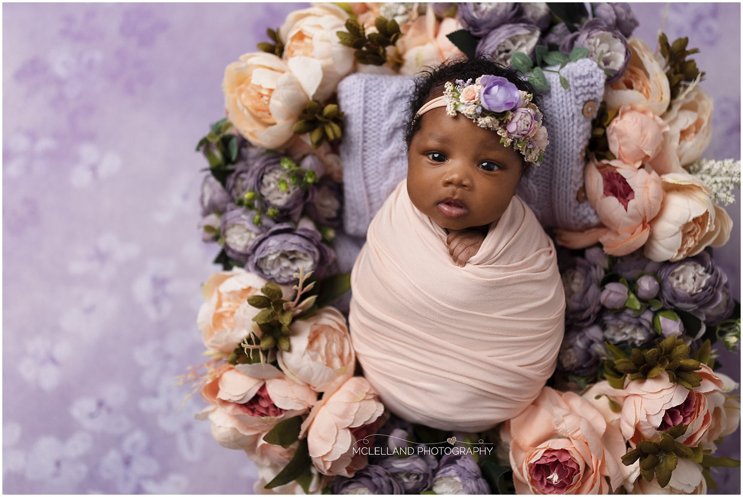 Lavender Sasha