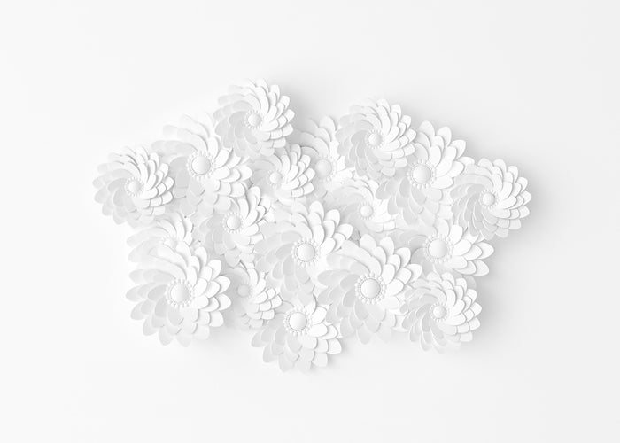 White Petal