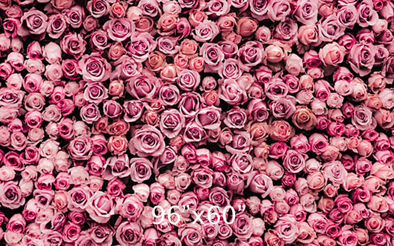 Pink Rose Wall