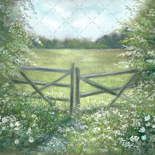 Spring Day