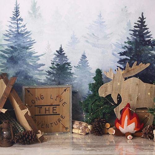 Adventure in the Woods