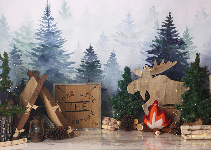 Adventure in the Woods