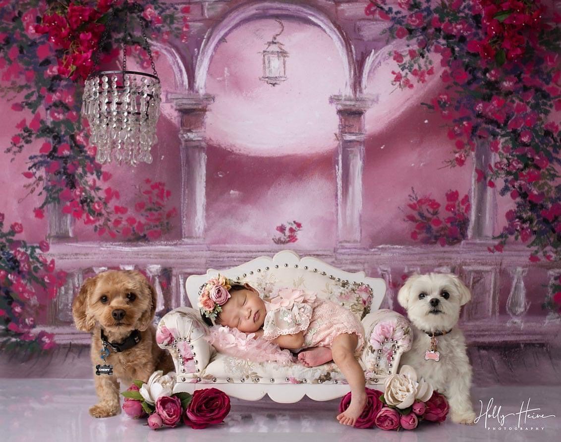 Princess Balcony