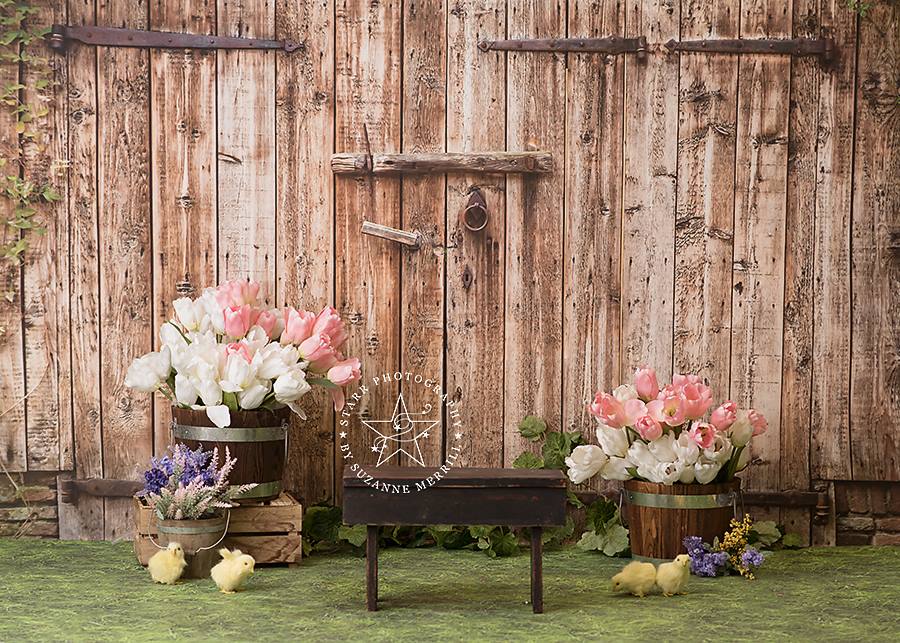 Barnwood Door
