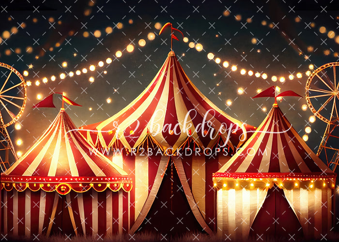 Night at the Circus